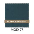 WZ_MOLY77_PL.jpg