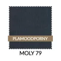 WZ_MOLY79_PL.jpg