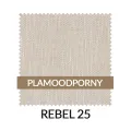 WZ_REBEL25_PL.jpg